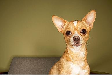 《战锤40K：混沌之门恶魔猎人》新预告 猛男登场